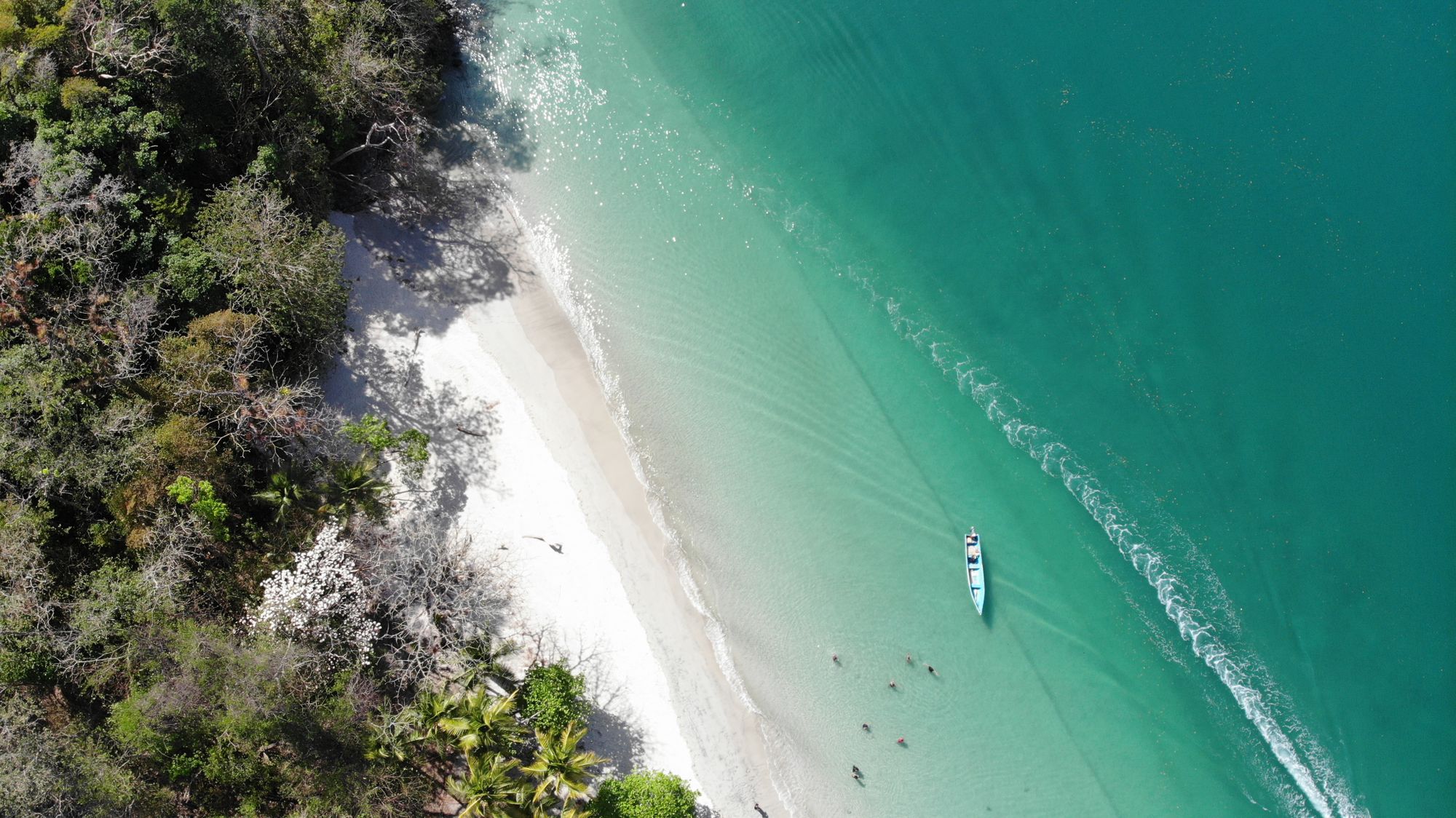 Aerial view of a turquoise, jungle-backed beach on Panama's Pacific coast