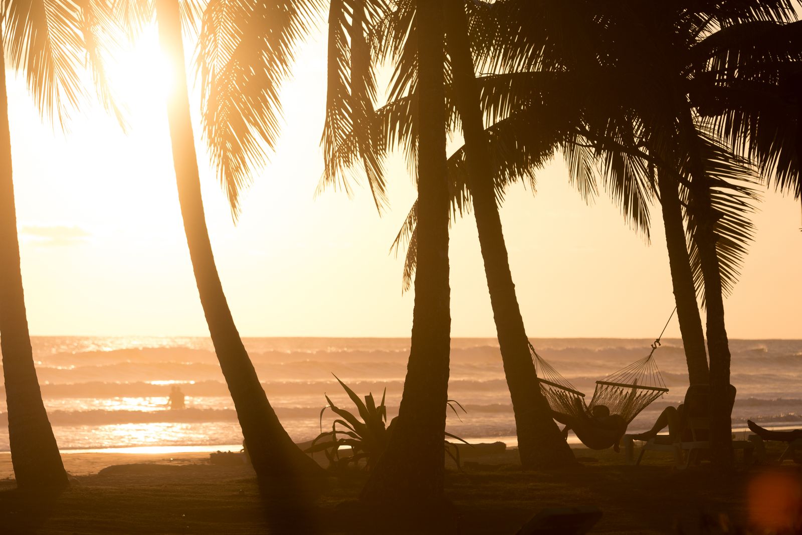 A hammock between palms at sunset on a tropical beach